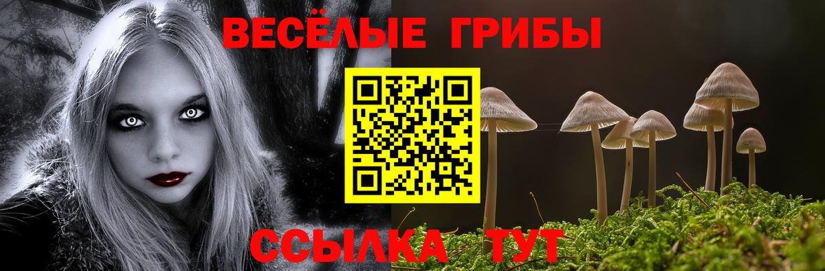 Галлюциногенные грибы Cubensis  Псилоцибиновые грибы ЛСД  наркота  Соль-Илецк  Вход с VPN 